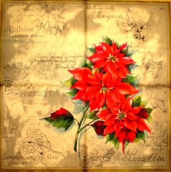098 Christmas Flowers - 3-ply (beige) - Ihr